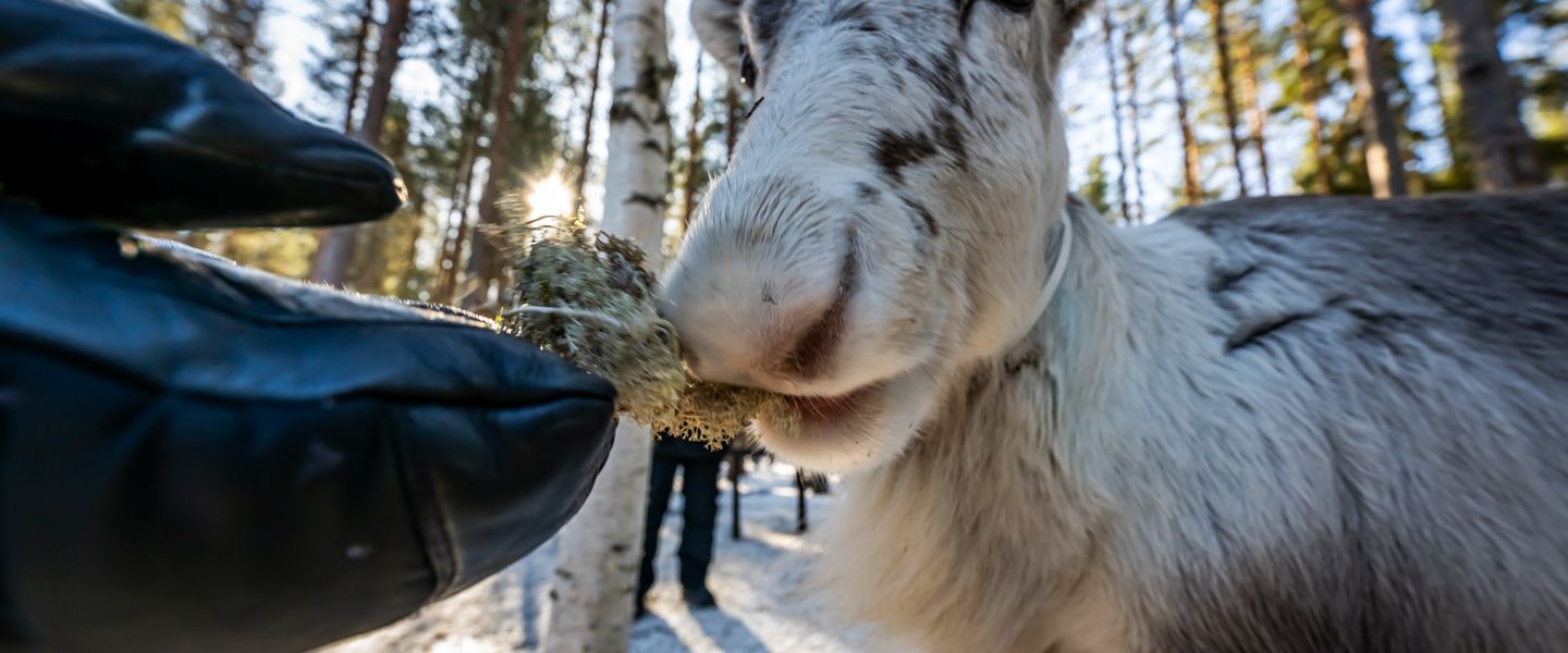 © Klaus Hansen Fotografie